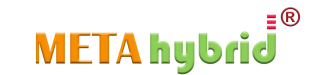 Metahybrid Logo